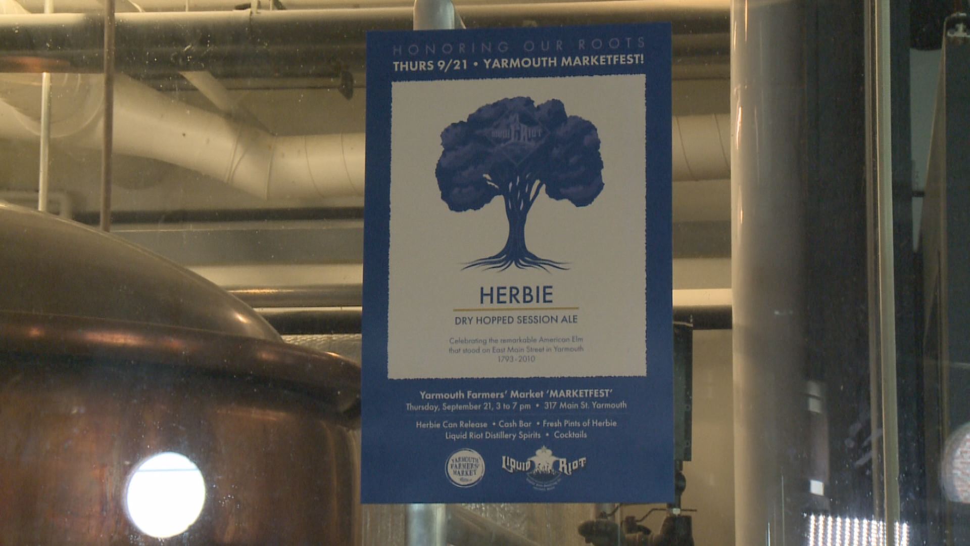 Local Brewery creates signature beer in honor of Yarmouth elm tree